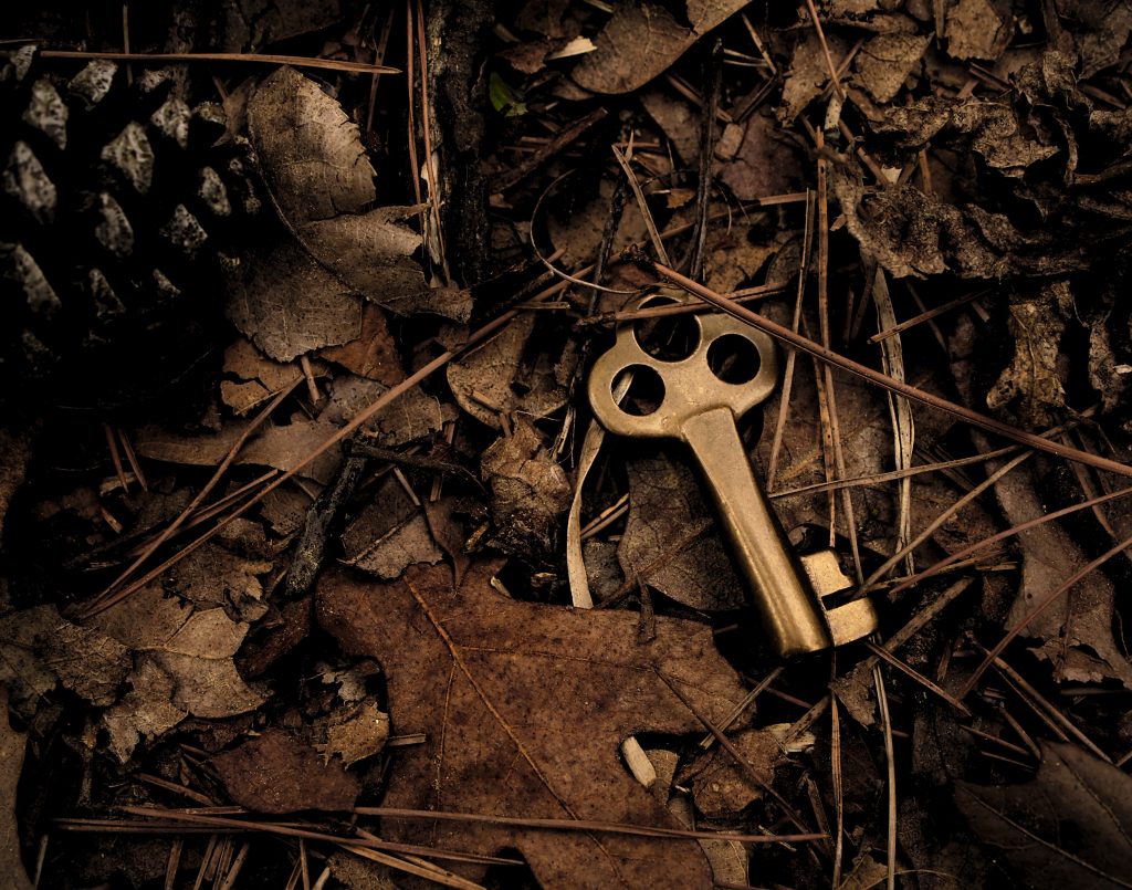 leaves on ground, fallen gold key